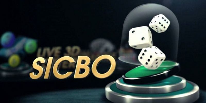 Game sicbo - Giới thiệu trò chơi tài xỉu mới 2024